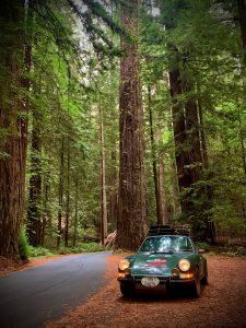 Automotive Walkabout Fall 2020